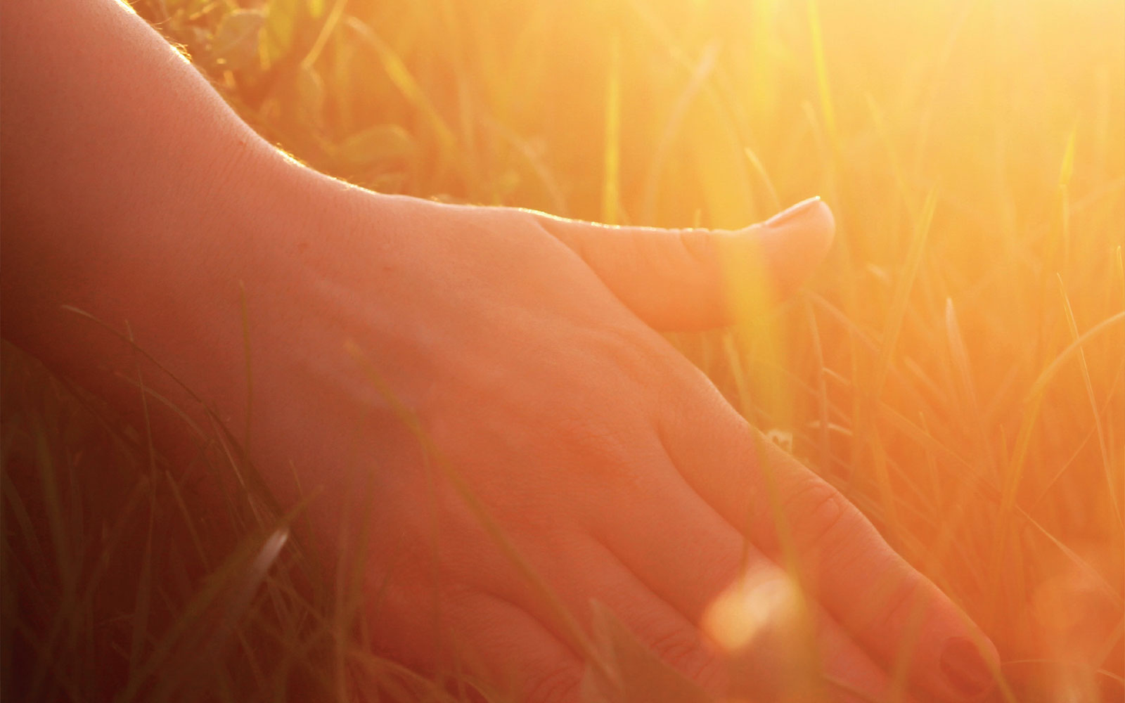 ENERGY EFFICIENCY AND COMFORT