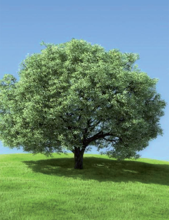 Linea Design<br>IN HARMONY